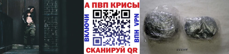 A PVP СК  Орлов 