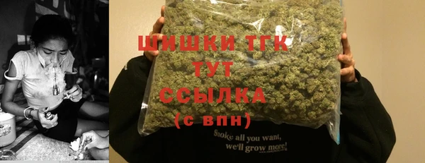 стаф Осинники