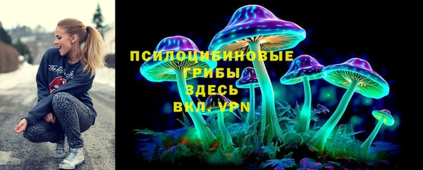 дмт Алексеевка